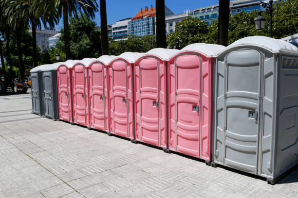 Types of Portable Toilets We Offer in Cecilia, LA